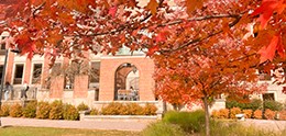 Noel Reading Porch, EKU Crabbe Library