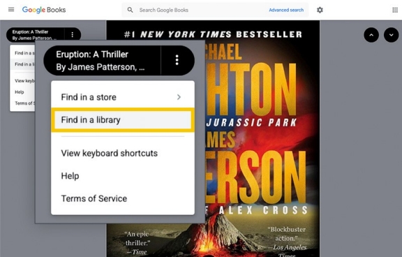 Illustration: Google Books 'Find in a Library' link
