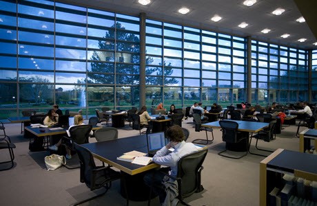 Estudiante en la biblioteca de Bryant University