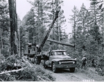 Apache National Forest History Collection