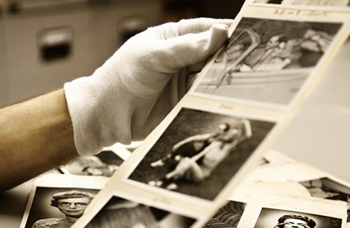 Archivaris die naar oude foto's kijkt