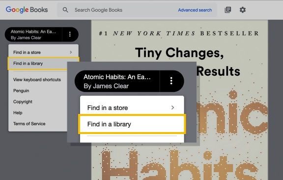 插图：Google Books“在图书馆中查找”链接